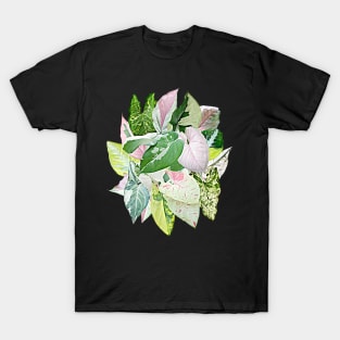 SYNGONIUM BUCKET T-Shirt